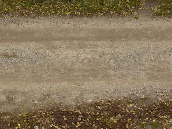 Texture of wet road with mixed, dirt and gravel surface and vegetation at boarders.